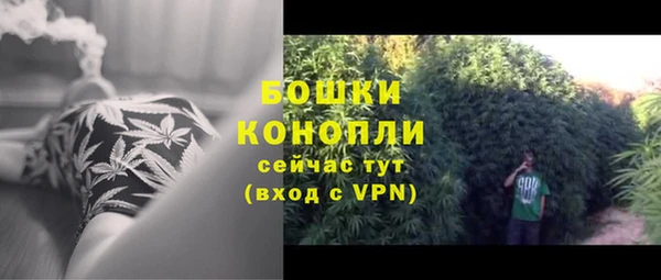 амф Бронницы