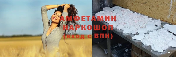 Альфа ПВП Верея