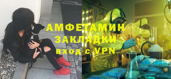 амф Бронницы
