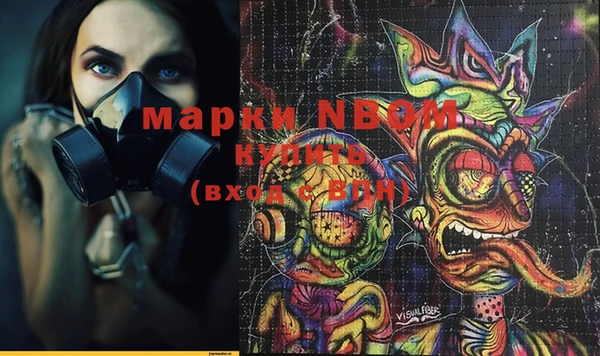 Альфа ПВП Верея